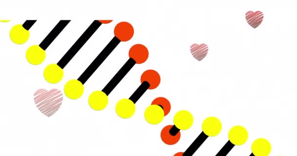 Digital Animation Dna Structure Spinning Multiple Red Hearts White Background — Stock Video