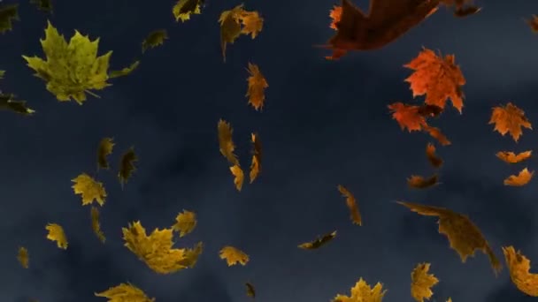 Цифрова Анімація Декількох Осінніх Кленових Листя Падають Текстурований Сірий Фон — стокове відео