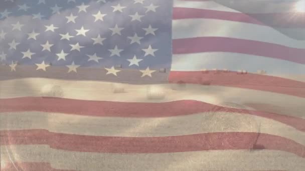 在农田景观的映衬下飘扬的美国国旗的数字构图 国家农业概念 — 图库视频影像