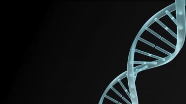 Siyah arka planda dönen DNA yapısının dijital animasyonu. tıbbi araştırma ve bilim teknolojisi kavramı
