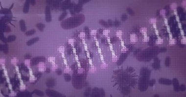 Trombosit ve kan hücrelerinin üzerinde dönen DNA iplikçiklerinin animasyonu. Bilim ve araştırma konsepti dijital olarak oluşturulmuş video.