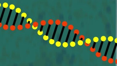 Koyu yeşil arka planda dönen 3D model DNA ipliğinin animasyonu. küresel tıbbi araştırma teknolojisi ve dijital arayüz konsepti, dijital olarak oluşturulmuş video.