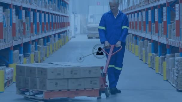 Animatie Van Het Netwerk Van Verbindingen Met Pictogrammen Mens Die — Stockvideo