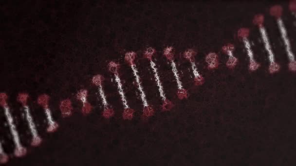 Digitale Animatie Van Structuur Van Het Dna Tegen Een Zwarte — Stockvideo