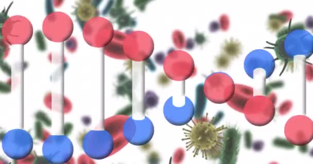 Animation Des Dna Strangs Der Sich Über Blutplättchen Und Blutzellen — Stockvideo