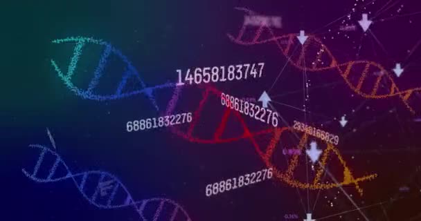 Animación Hebras Adn Girando Sobre Procesamiento Datos Concepto Ciencia Investigación — Vídeos de Stock