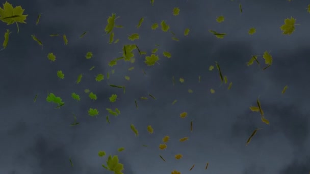 Digitale Animatie Van Meerdere Herfst Esdoorn Bladeren Zwevend Tegen Getextureerde — Stockvideo