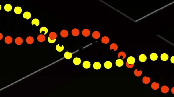 Digital Animation Dna Struktur Snurrar Mot Vita Linjer Svart Bakgrund — Stockvideo