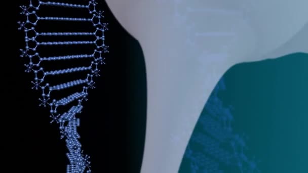 Animation Des Dna Strangs Der Sich Über Ein Netzwerk Von — Stockvideo