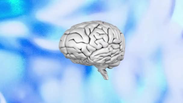 Animace Lidského Mozku Točícího Modrém Vzorovaném Pozadí Vzor Barva Koncepce — Stock video