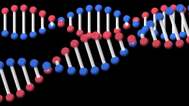 Siyah Arka Planda Dönen Dna Yapılarının Dijital Animasyonu Tıbbi Araştırma — Stok video