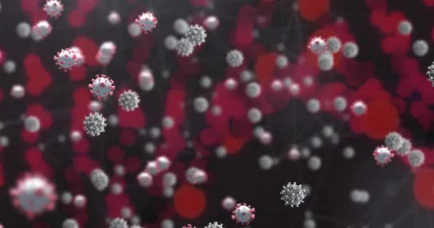 Анимация Цепочки Днк Вращающейся Над Коронными Вирусными Клетками Научно Исследовательская — стоковое видео
