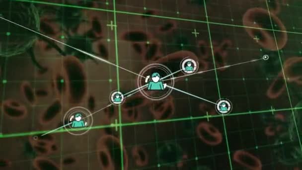 Netzwerk Von Profilsymbolen Über Gitternetzwerk Gegen Covid Zellen Und Blutgefäße — Stockvideo