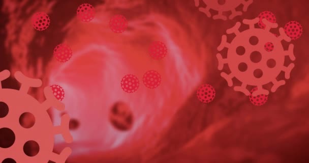 多个Covid 19细胞图标在红色背景下漂浮的数字动画 Coronavirus Covid 19大流行病概念 — 图库视频影像