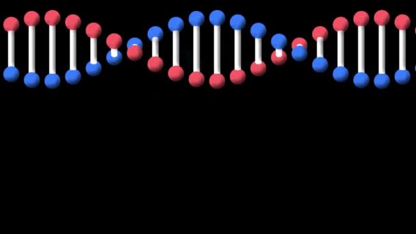 Animación Rotación Modelo Dna Hebra Sobre Fondo Negro Tecnología Investigación — Vídeos de Stock