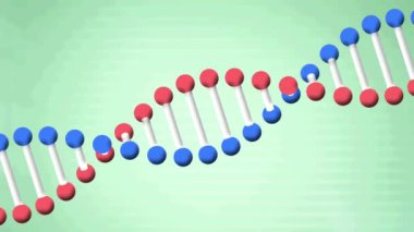 Soluk yeşil arka planda dönen 3D model DNA ipliğinin animasyonu. küresel tıbbi araştırma teknolojisi ve dijital arayüz konsepti, dijital olarak oluşturulmuş video.