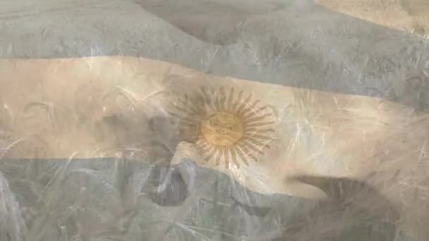 Digital Sammansättning Vifta Argentina Flagga Mot Närbild Grödor Gården Fält — Stockvideo