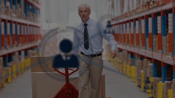 Network Profile Icons Caucasian Male Senior Supervisor Pulling Pallet Warehouse — Stock Video