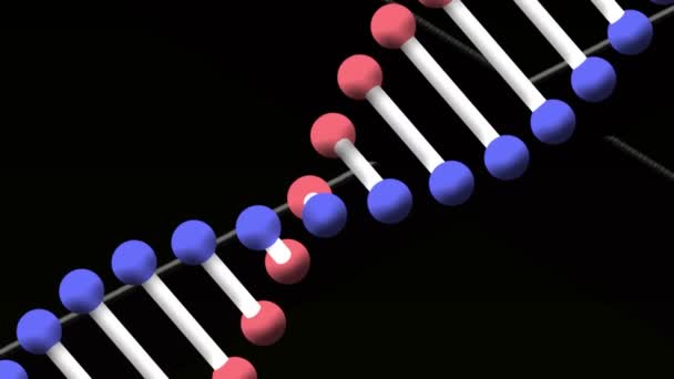 Digital Animation Dna Structure Spinning White Lines Black Background Medical — Stock Video