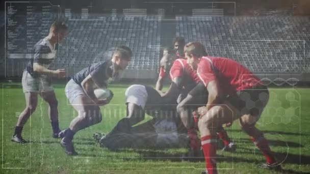 Animação Processamento Dados Jogadores Rugby Sobre Estádio Esportes Conceito Global — Vídeo de Stock