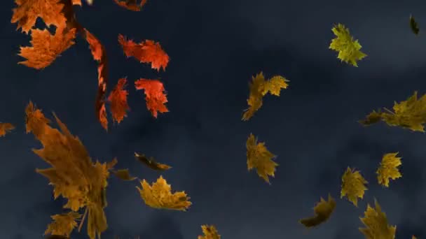 Цифрова Анімація Декількох Осінніх Кленових Листя Плавають Текстурованому Сірому Фоні — стокове відео