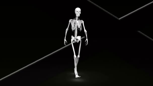 人体骨骼在黑色背景上沿着白线行走的数字动画 医学研究和科学技术概念 — 图库视频影像