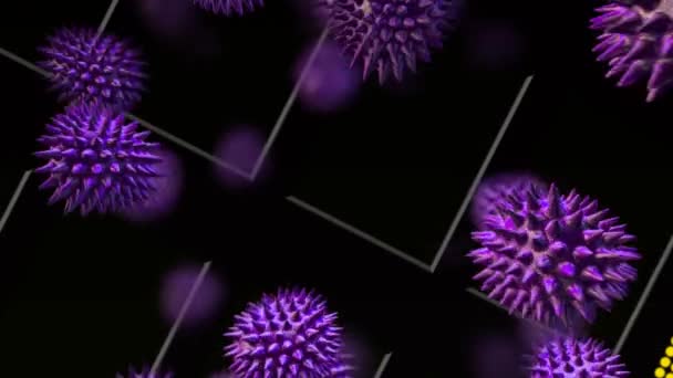 数字动画的多个紫色Covid 19细胞漂浮在白线上的黑色背景 Coronavirus Covid 19大流行病概念 — 图库视频影像
