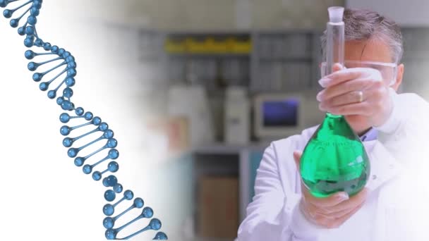 Animatie Van Dna Strengen Die Draaien Wetenschapper Het Laboratorium Digitaal — Stockvideo