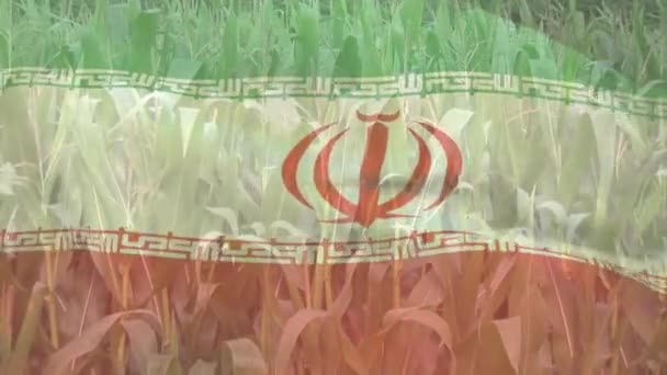 Digitale Zusammensetzung Der Schwenkenden Iranischen Flagge Gegen Die Nahaufnahme Von — Stockvideo