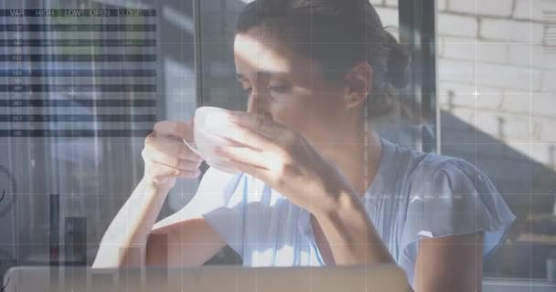 Animación Las Estadísticas Procesamiento Datos Sobre Mujer Utilizando Ordenador Portátil — Vídeos de Stock