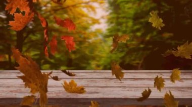 Ormana karşı ahşap yüzeyde yüzen çoklu sonbahar yapraklarının dijital animasyonu. Sonbahar mevsimi konsepti