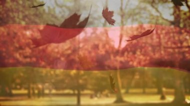 Almanya 'nın çoklu sonbahar yaprakları üzerinde dalgalanan bayrağının dijital bileşimi parka doğru düşüyor. Sonbahar mevsimi konsepti