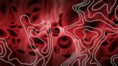 Kırmızı zemin üzerinde yüzen çoklu kan damarları üzerindeki topografinin dijital animasyonu. Coronavirus covid-19 salgın konsepti