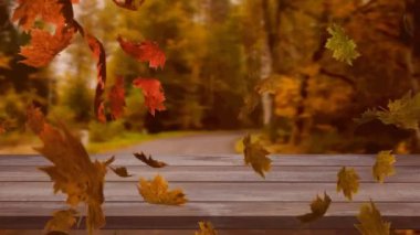 Ormana karşı ahşap yüzeyde yüzen çoklu sonbahar yapraklarının dijital animasyonu. Sonbahar mevsimi konsepti