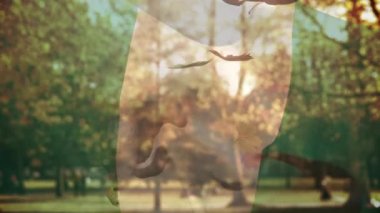 Nijerya 'nın sonbahar yapraklarının üzerinde bayrak sallayan dijital bileşimi parka doğru düşüyor. Sonbahar mevsimi konsepti