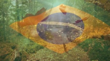 Brezilya bayrağının sonbahar yaprakları üzerinde dalgalanan dijital bileşimi orman yoluna düşüyor. Sonbahar mevsimi konsepti