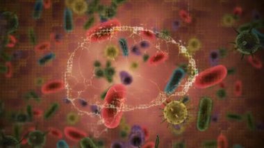 Çoklu covid-19 hücreleri ve yüzen kan damarları üzerinde dönen insan beyninin dijital animasyonu. Coronavirus covid-19 salgın konsepti