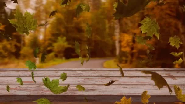 Digital Animation Multiple Autumn Leaves Floating Wooden Surface Forest Autumn — Stock Video