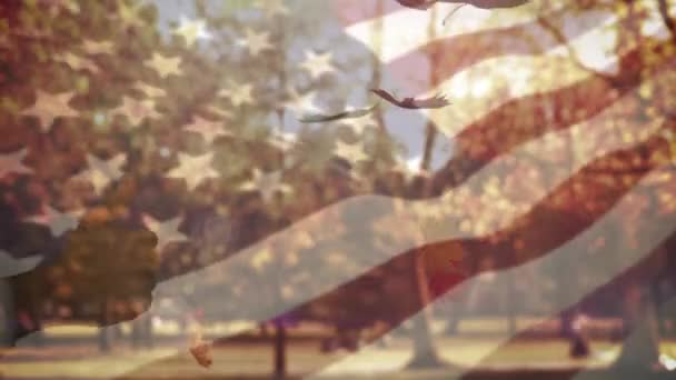 American Acenando Bandeira Mão Mostrando Polegares Para Cima Sobre Folhas — Vídeo de Stock