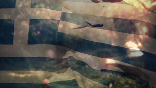公園に落ちる紅葉の上にギリシャの旗を振ってのデジタル組成物 秋のコンセプト — ストック動画