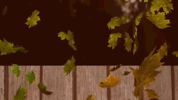 Digitale Animation Mehrerer Herbstblätter Die Über Einer Hölzernen Fläche Gegen — Stockvideo