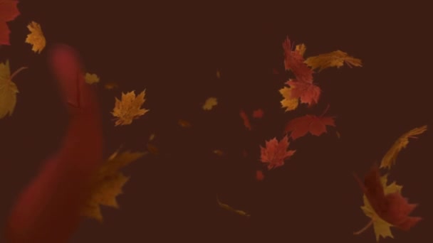 Цифрова Анімація Декількох Осінніх Листя Червоному Тлі Осінній Сезон Концепція — стокове відео