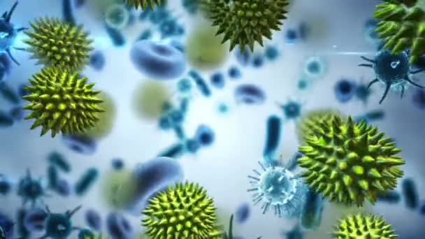 多个Covid 19细胞和血管在灰色背景下漂浮的数字动画 Coronavirus Covid 19大流行病概念 — 图库视频影像