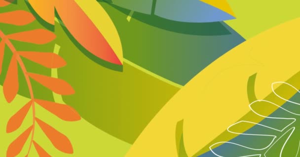 Анімація Листя Тропічних Рослин Зеленому Тлі Тропічна Дика Природа Концепція — стокове відео