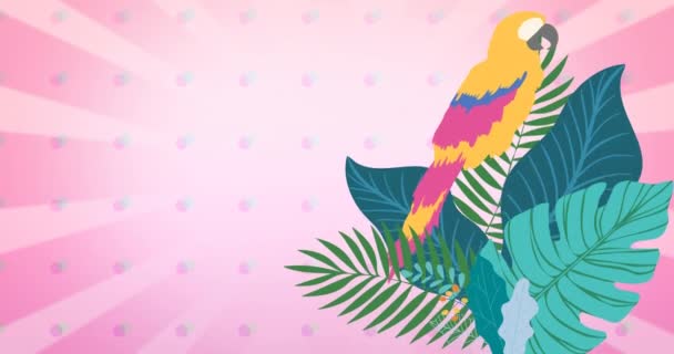 Animación Hojas Loro Plantas Tropicales Sobre Fondo Rayado Rosa Concepto — Vídeo de stock