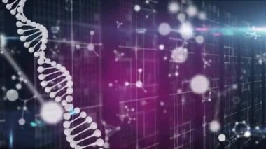 DNA ipliği üzerindeki bağlantı ağının animasyonu. iletişim teknolojisi, veri paylaşımı ve dijital arayüz konsepti dijital olarak oluşturulmuş video.