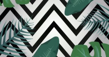 Siyah beyaz arka planda tropikal bitki yapraklarının animasyonu. tropikal yaban hayatı ve macera konsepti dijital olarak oluşturulmuş video.