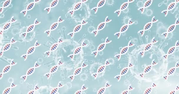 Animazione Del Filamento Del Dna Sulle Cellule Virali Concetto Influenza — Video Stock