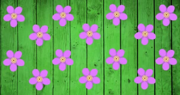 Animazione Fiori Viola Che Girano Sfondo Verde Natura Tropicale Concetto — Video Stock