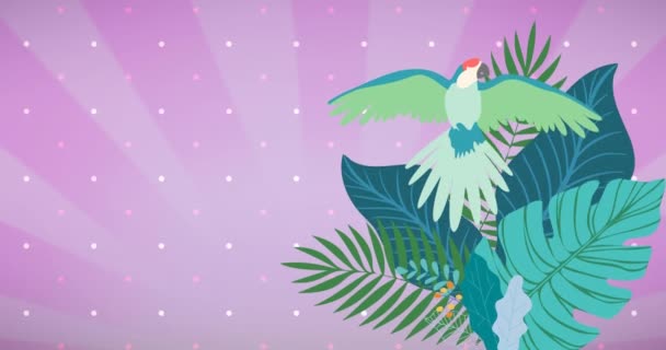 Animation Feuilles Perroquet Plantes Tropicales Sur Fond Rayé Rose Faune — Video